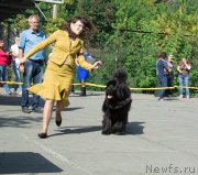 Превью фото № 213696