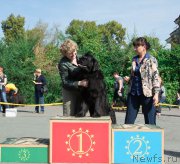 Превью фото № 213707