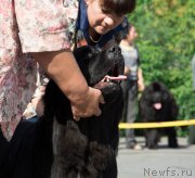 Превью фото № 213708