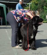 Превью фото № 213709