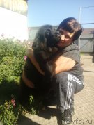 Превью фото № 213719