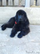 Превью фото № 213735