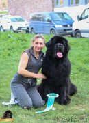 Превью фото № 213749