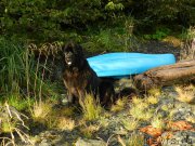 Превью фото № 213767