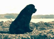 Превью фото № 213768