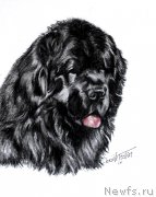 Превью фото № 213823