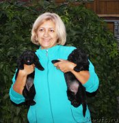 Превью фото № 213825