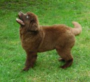 Превью фото № 213887