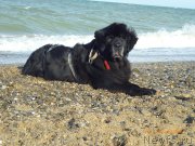 Превью фото № 213905