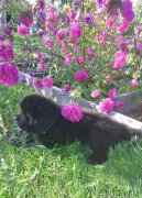 Превью фото № 213924