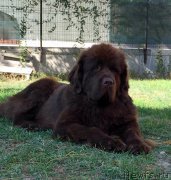 Превью фото № 214105