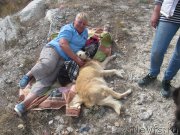 Превью фото № 214113