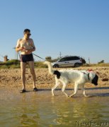 Превью фото № 214179