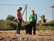 Превью фото № 214183