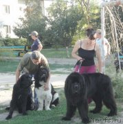 Превью фото № 214189