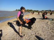 Превью фото № 214239