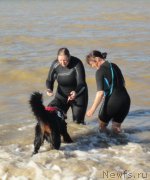 Превью фото № 214240