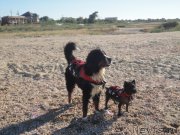 Превью фото № 214252