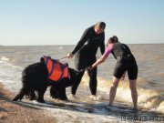 Превью фото № 214260