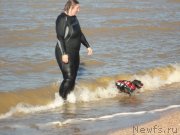 Превью фото № 214266