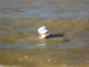 Превью фото № 214270