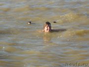 Превью фото № 214271