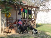 Превью фото № 214302