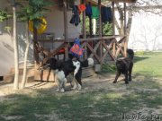 Превью фото № 214303