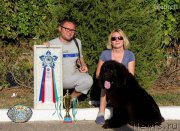 Превью фото № 214344