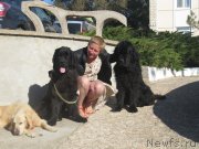 Превью фото № 214458