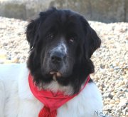 Превью фото № 214463