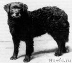 Превью фото № 21450