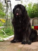 Превью фото № 214513