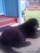 Превью фото № 214523