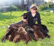 Превью фото № 214573