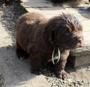 Превью фото № 214581