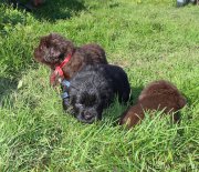 Превью фото № 214587