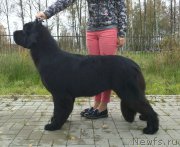 Превью фото № 214588