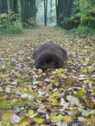 Превью фото № 214600