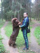 Превью фото № 214604