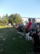 Превью фото № 214606