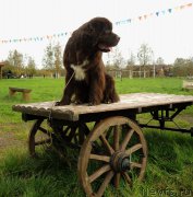 Превью фото № 214631