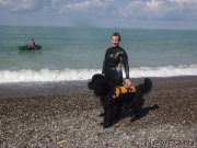 Превью фото № 214642