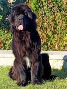 Превью фото № 214852