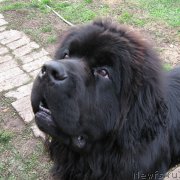 Превью фото № 214881