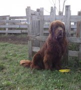 Превью фото № 214886