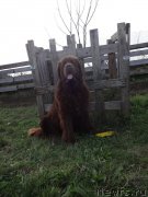 Превью фото № 214890