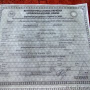 Превью фото № 214909