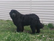 Превью фото № 214946