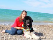 Превью фото № 215178